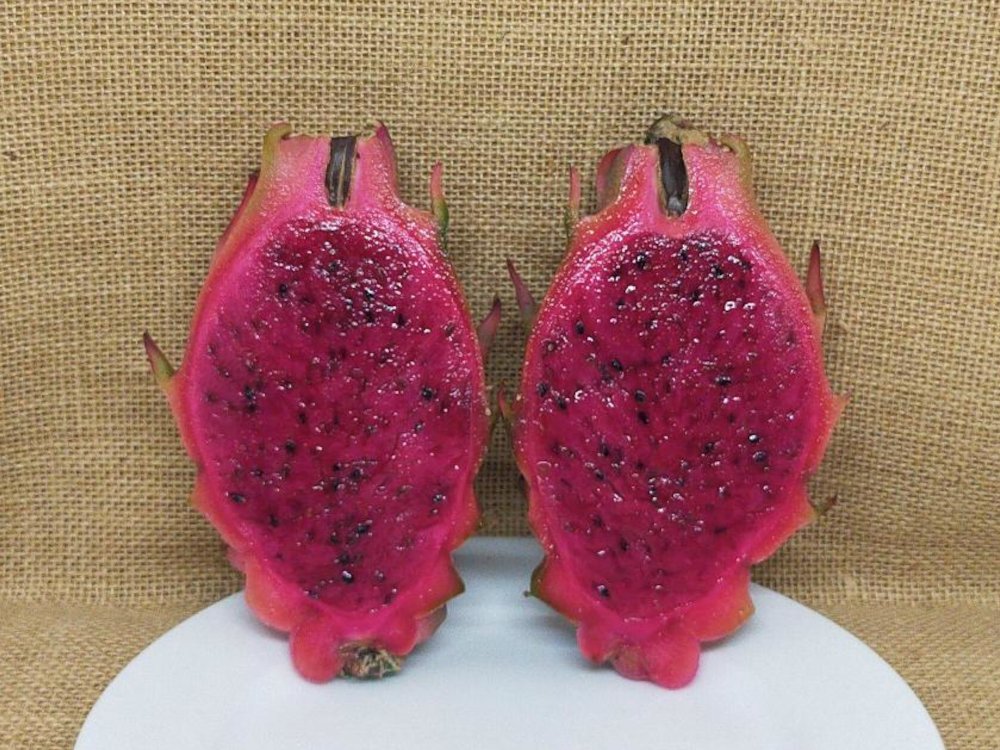 Purple Megalanthus dragon fruit halved